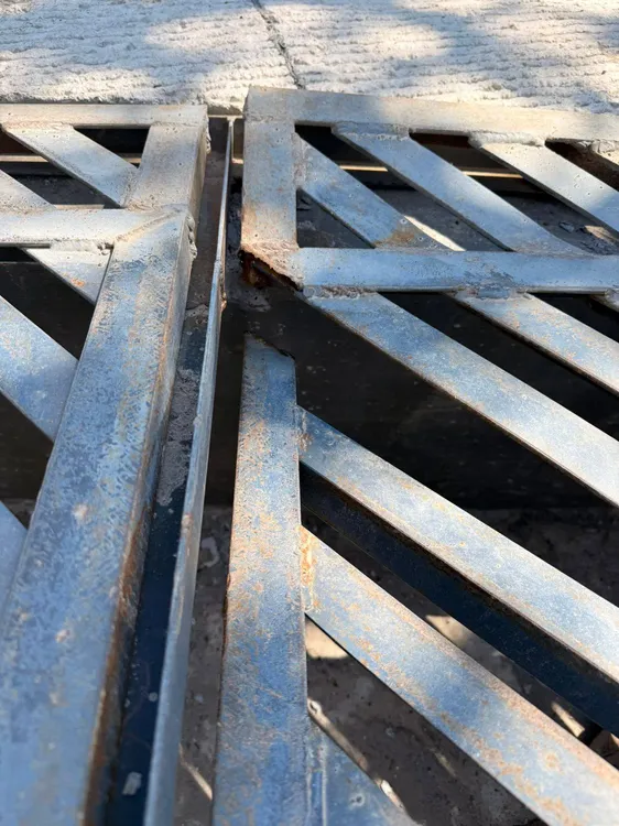 649113968_1463107555608574_8574963744465086368_n