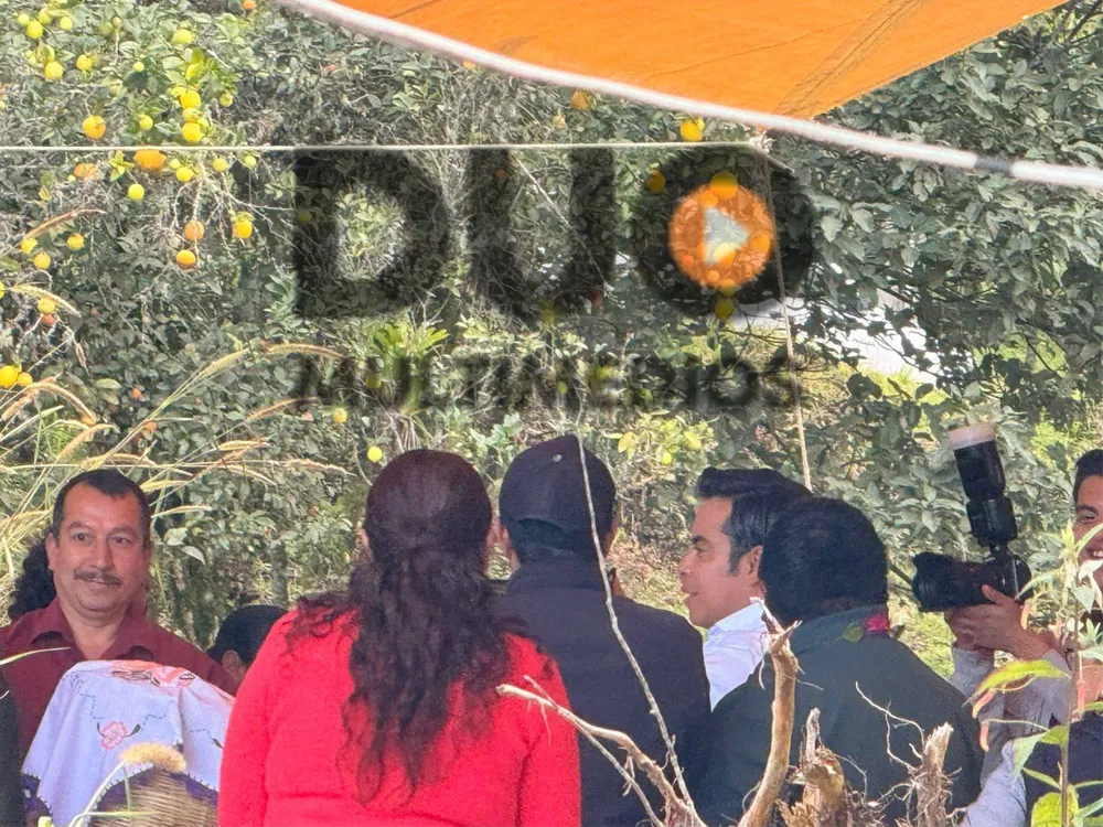 650145113_1463107875608542_5103019833912983934_n